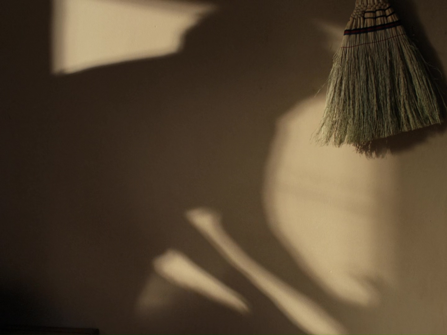 persons shadow