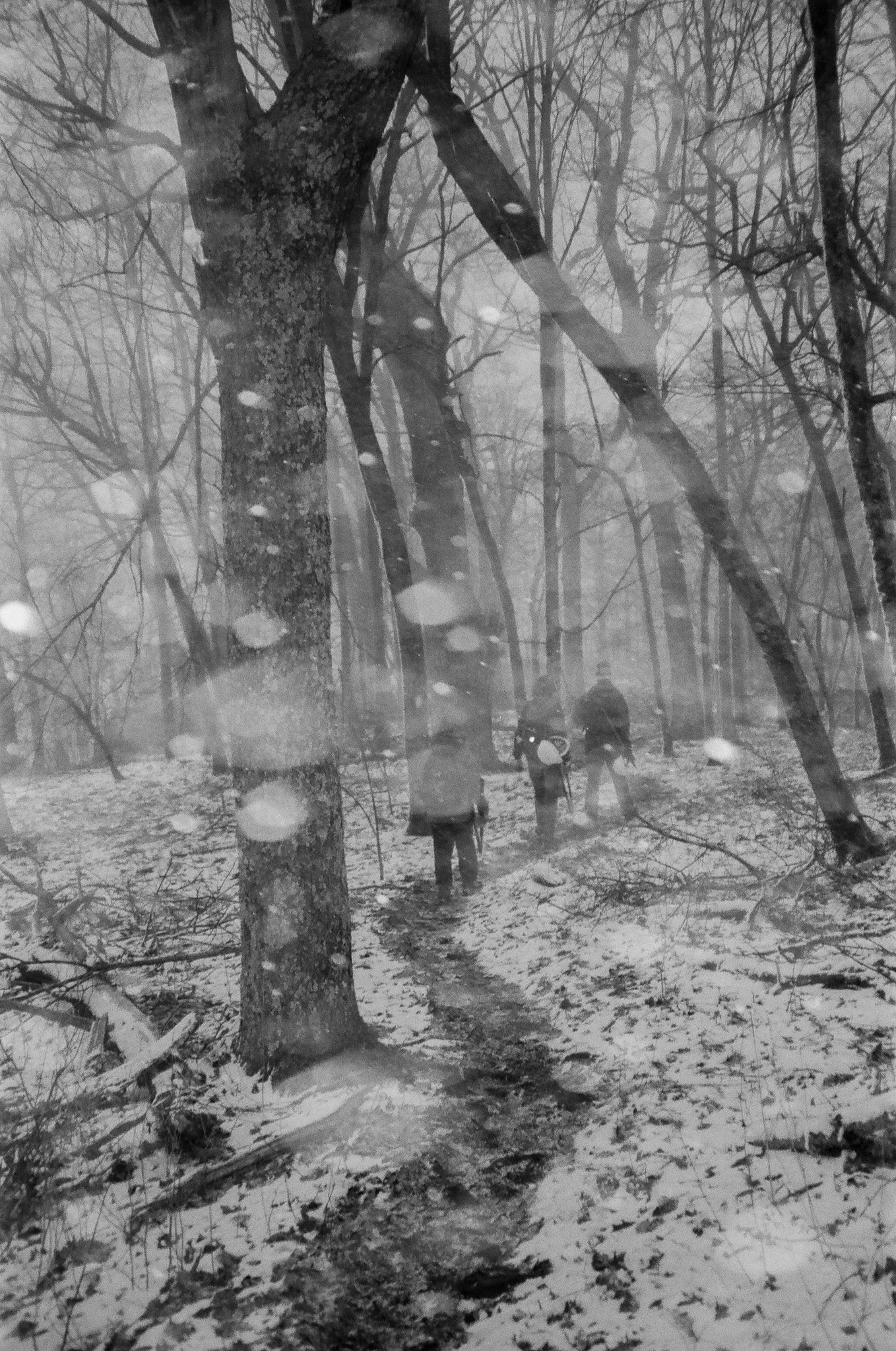 Path